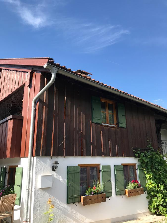 Chalet Alpenrose Швангау Екстер'єр фото